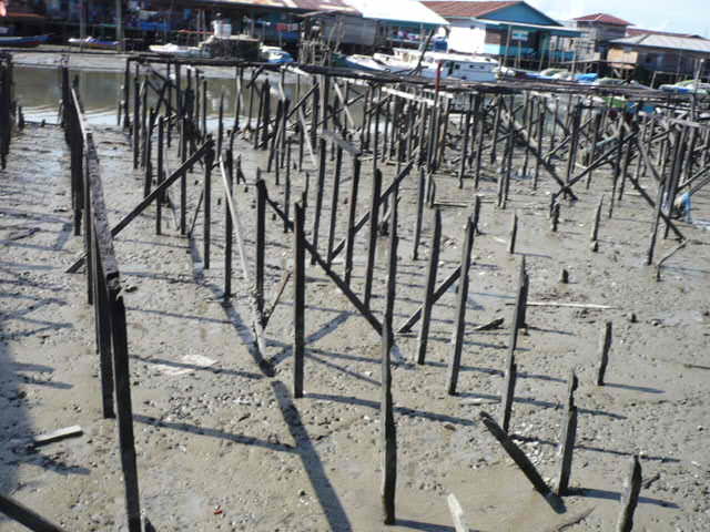 f:id:chanoki:20170213091258j:plain