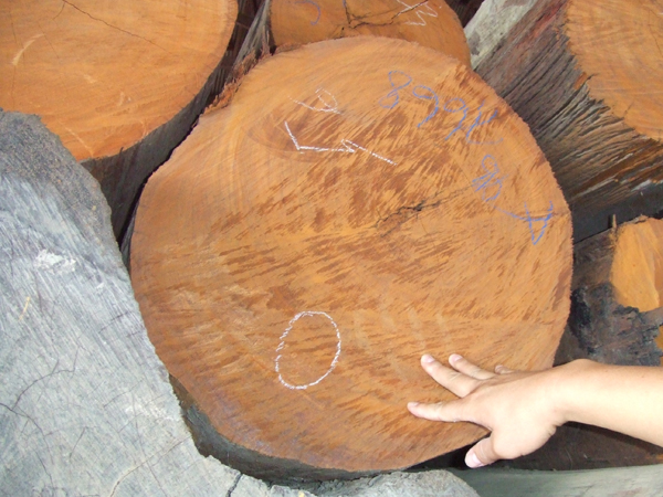 f:id:chanoki:20170214105031j:plain