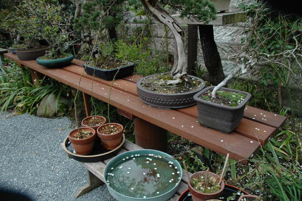 f:id:chanoki:20170222100616j:plain