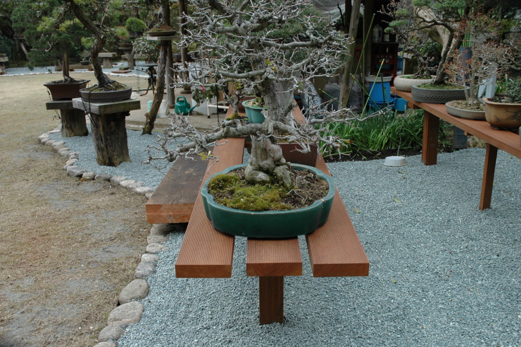 f:id:chanoki:20170222100644j:plain