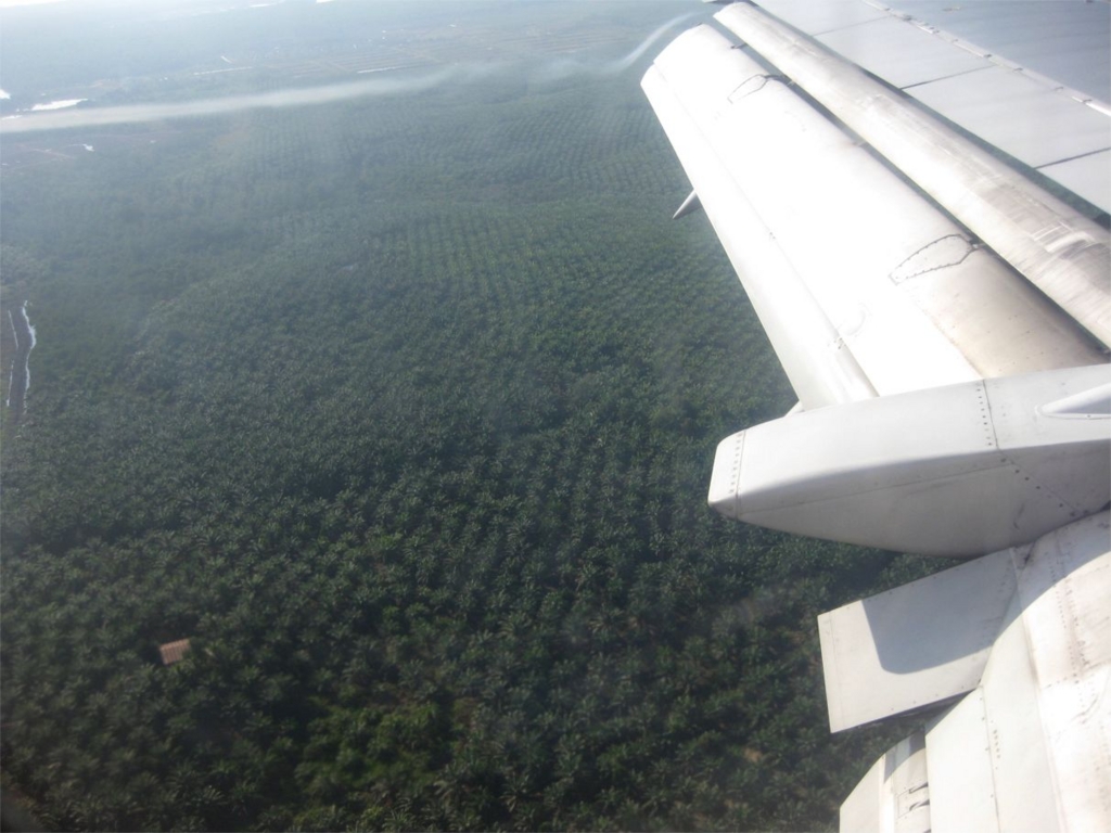 f:id:chanoki:20170223095434j:plain f:id:chanoki:20170223095434j:plain