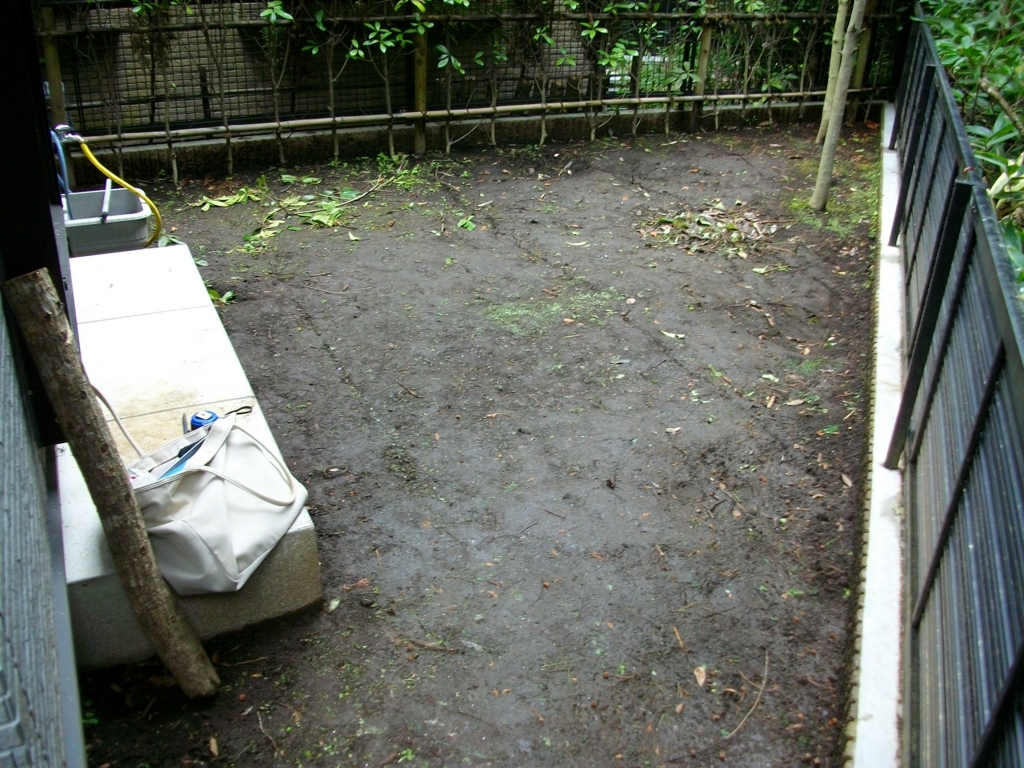 f:id:chanoki:20170309091918j:plain