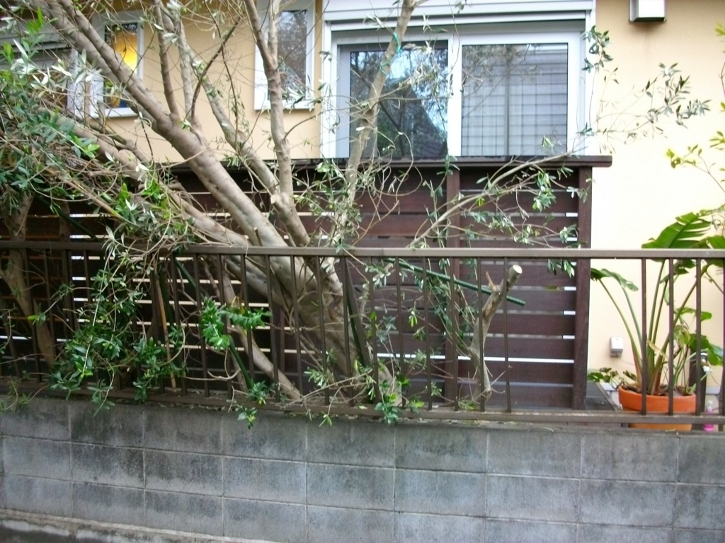 f:id:chanoki:20170607143739j:plain