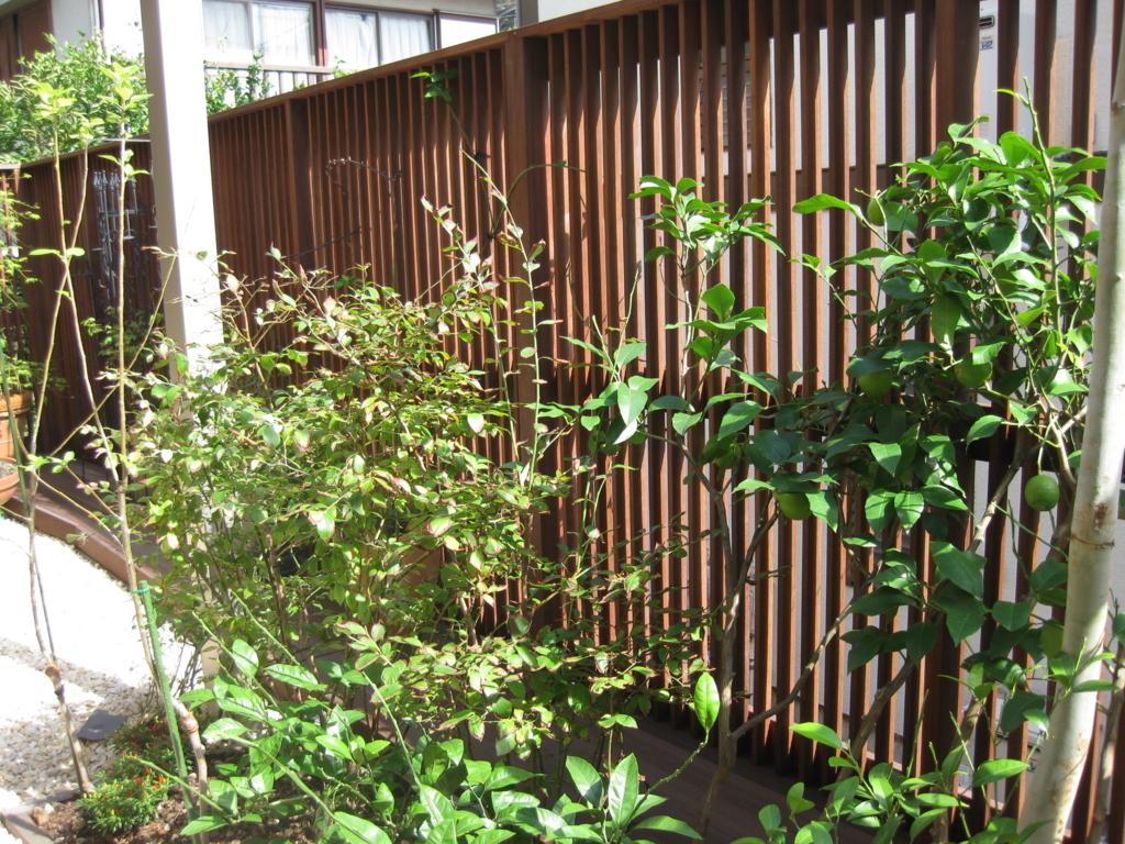 f:id:chanoki:20170801091527j:plain