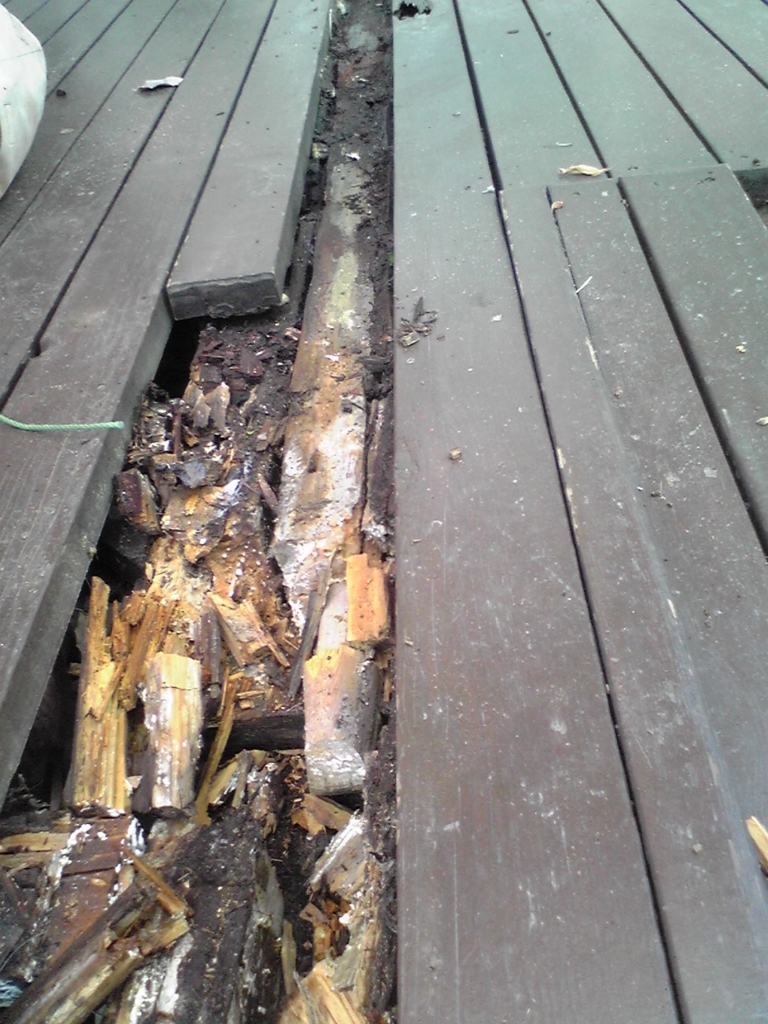 f:id:chanoki:20170830091554j:plain