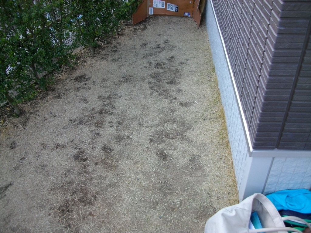 f:id:chanoki:20170902092820j:plain