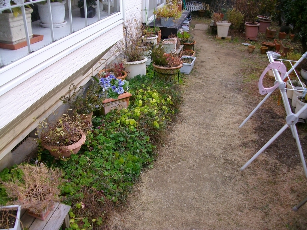 f:id:chanoki:20170919091947j:plain