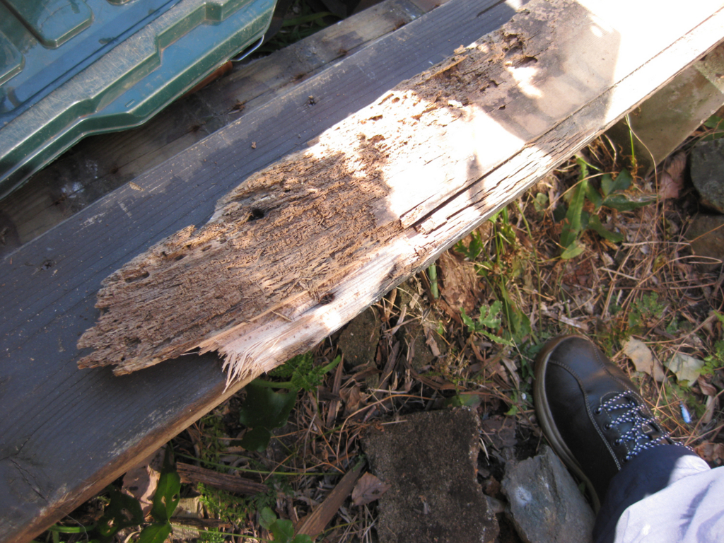 f:id:chanoki:20170926093158j:plain