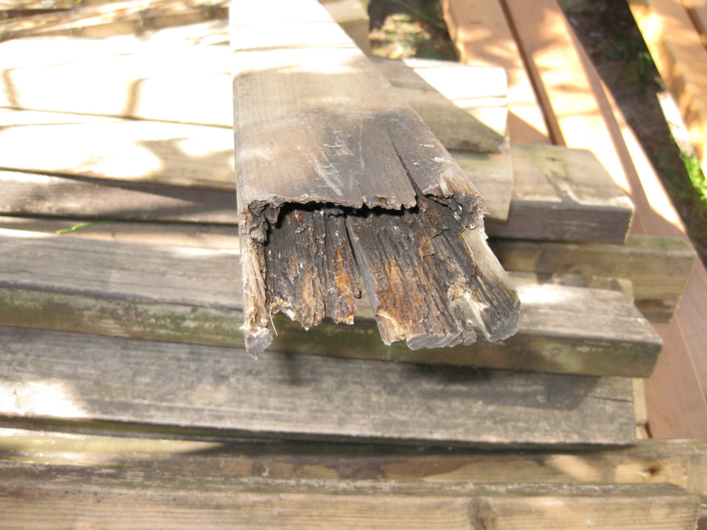 f:id:chanoki:20170926093217j:plain