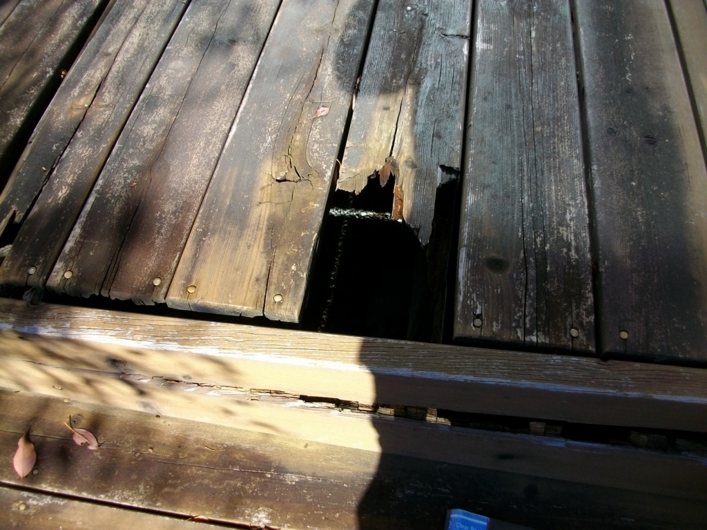 f:id:chanoki:20170930095324j:plain f:id:chanoki:20170930095324j:plain