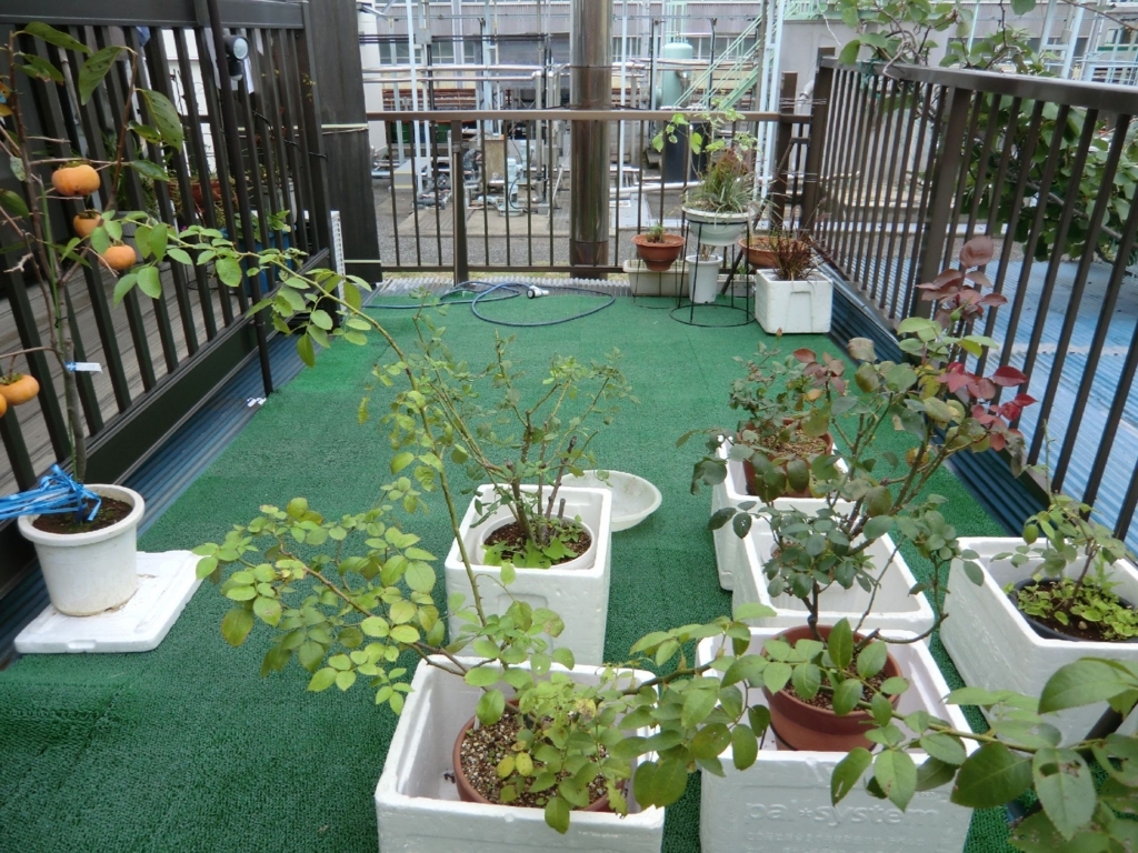 f:id:chanoki:20171019100049j:plain