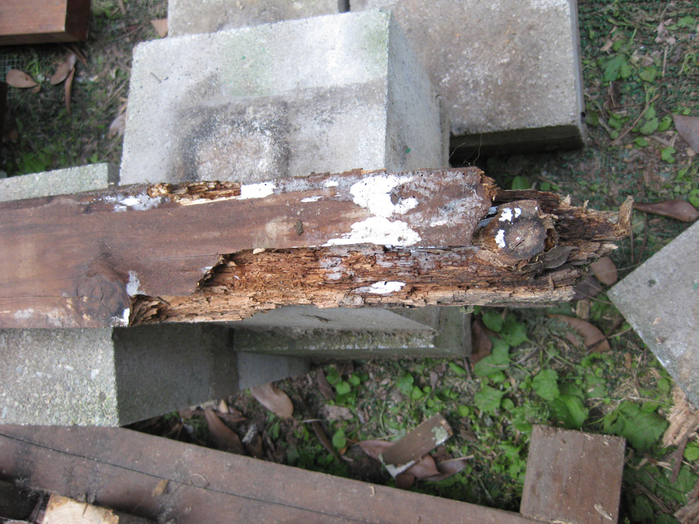 f:id:chanoki:20171209092844j:plain f:id:chanoki:20171209092844j:plain