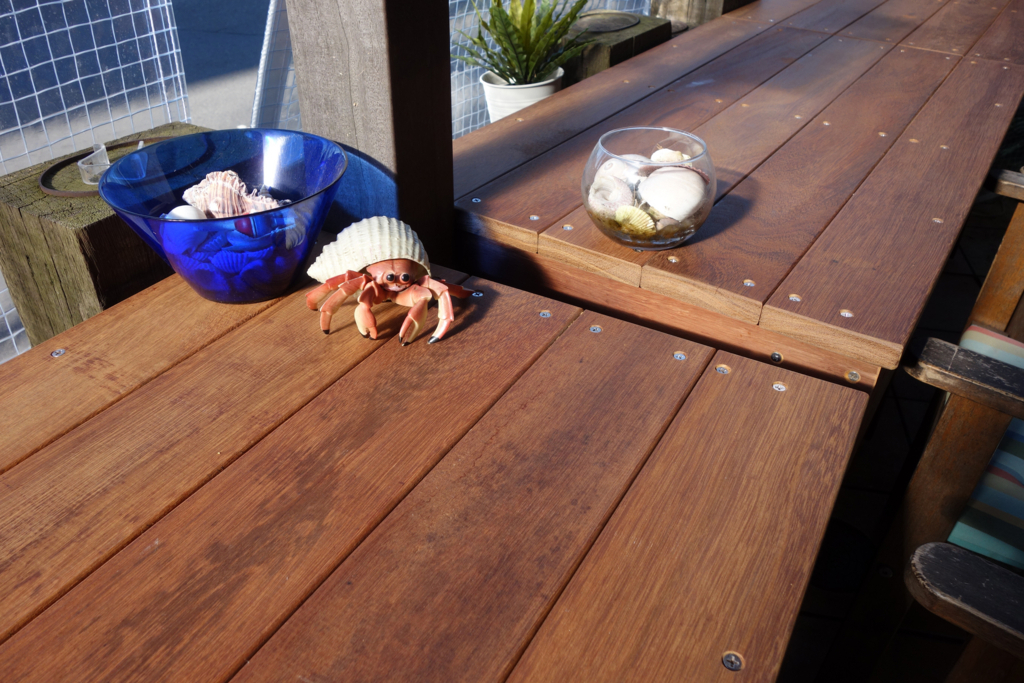 f:id:chanoki:20171213142157j:plain