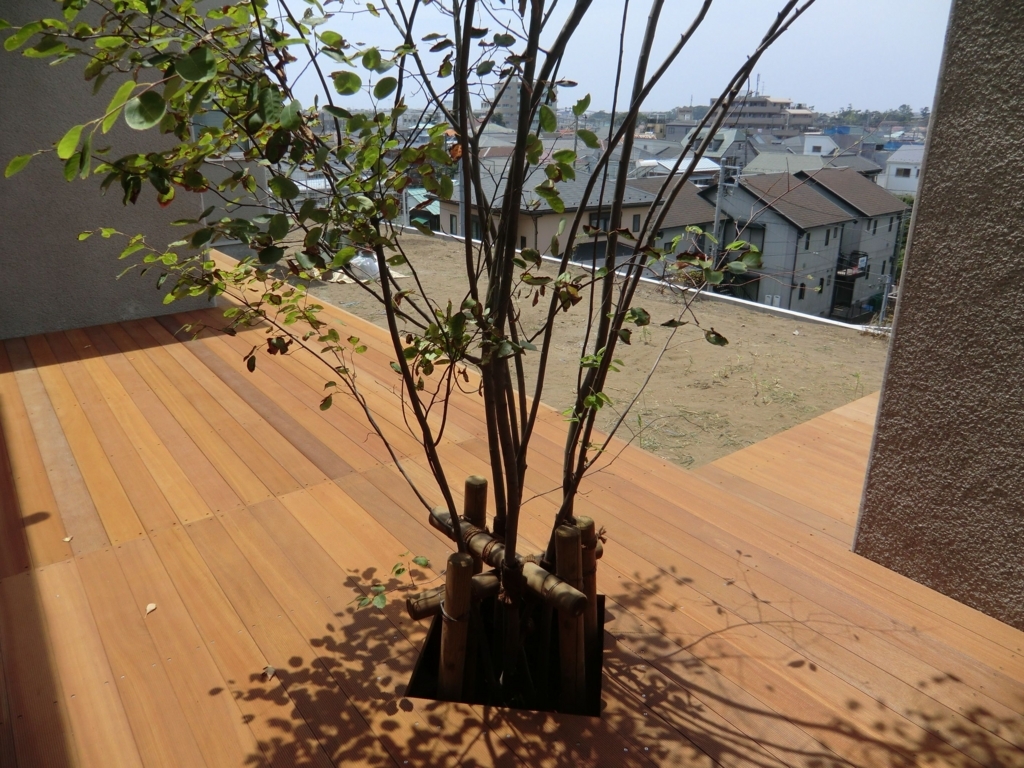 f:id:chanoki:20180115135348j:plain f:id:chanoki:20180115135348j:plain