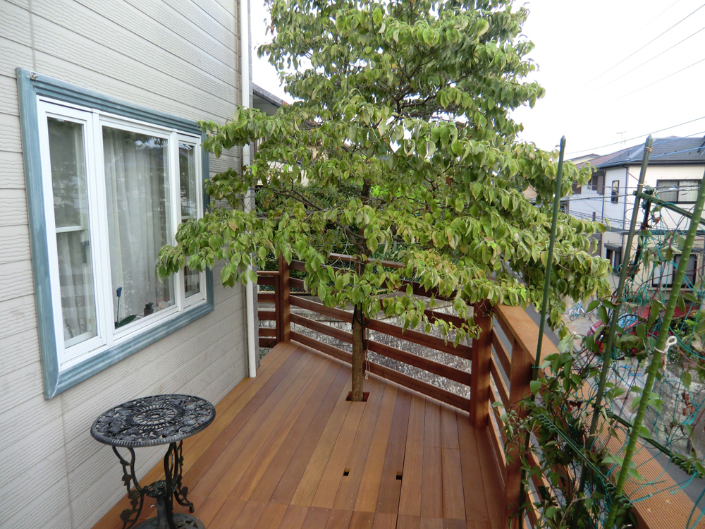 f:id:chanoki:20180124102229j:plain f:id:chanoki:20180124102229j:plain