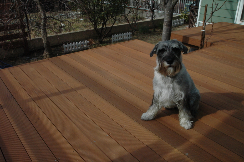 f:id:chanoki:20180216092138j:plain