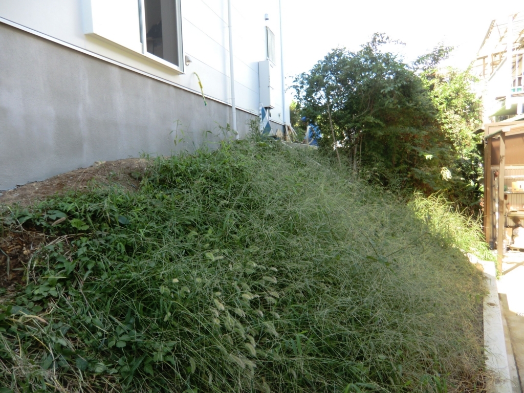 f:id:chanoki:20180309093804j:plain