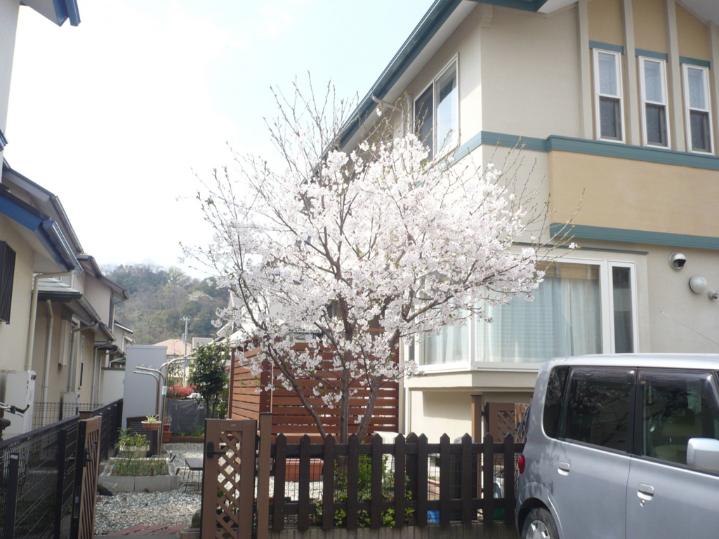 f:id:chanoki:20180326111129j:plain